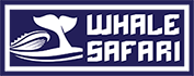 Whale Safari